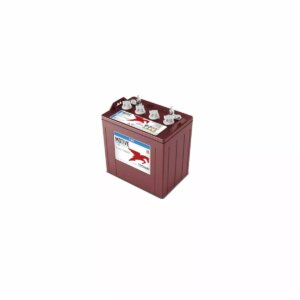 BATTERIE TROJAN DEEP CYCLE T890 8V