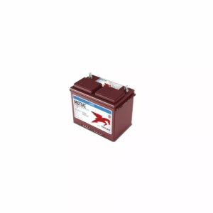 BATTERIE TROJAN DEEP CYCLE 24TMX 12V