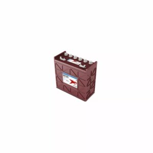 BATTERIE TROJAN DEEP CYCLE J185P AC 12V