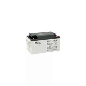 BATTERIE YUASA YUCEL Y65 12I