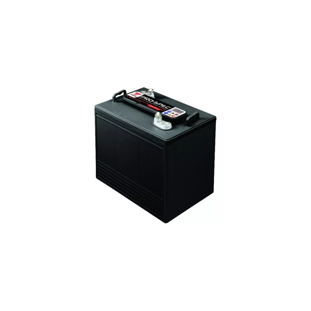 BATTERIE YUASA DEEP CYCLE 6V DCB 105 6