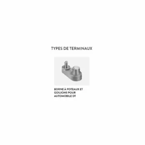 BATTERIE TROJAN DEEP CYCLE J185H-AC 12V – Image 3