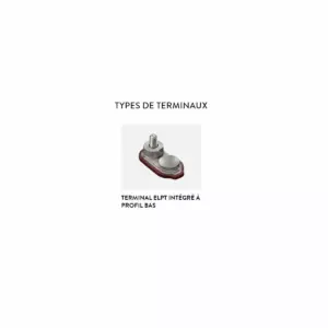 BATTERIE TROJAN DEEP CYCLE T1275+ 12V – Image 3