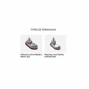 BATTERIE TROJAN DEEP CYCLE T890 8V – Image 3