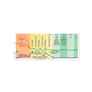 CHARGEUR OPTIMATE 4 QUAD-PROGRAM PREMIUM TM-630-PR CAN BUS – Image 3